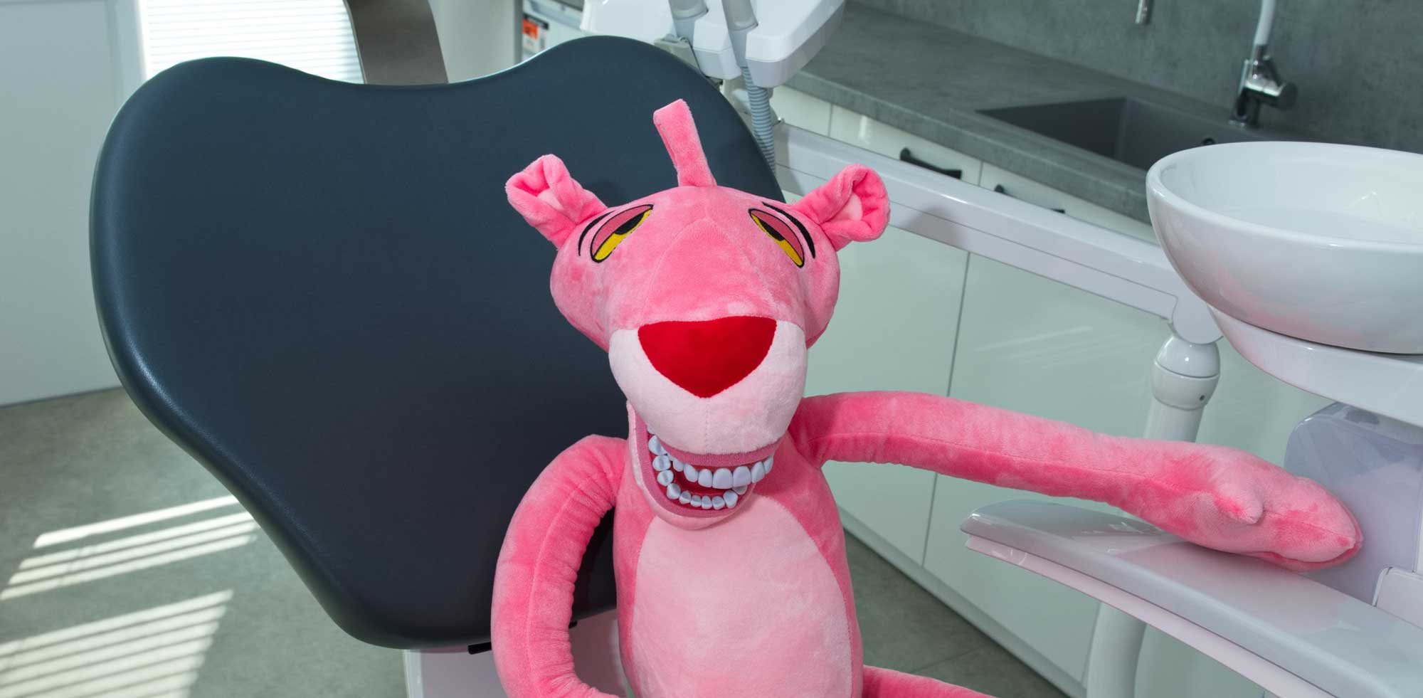 Ply&#x0161;ov&#x00FD;&#x20;R&#x016F;&#x017E;ov&#x00FD;&#x20;panter&#x20;sed&#x00ED;&#x20;v&#x20;zubn&#x00ED;m&#x20;k&#x0159;esle&#x20;v&#x20;ordinaci.